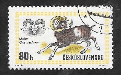 1860 - Exposición mundial de caza, muflón