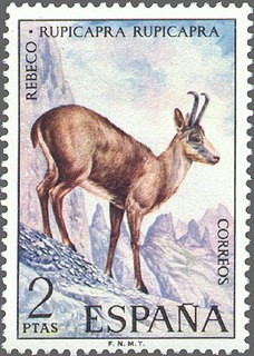 ESPAÑA 1972 2103 Sello Nuevo Serie Fauna Hispanica Rebeco