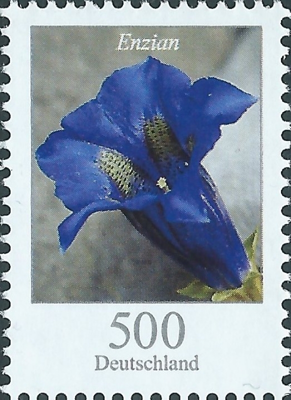 Flowers - Gentian without stalk (Gentiana acaulis) (GFR)
