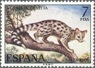 ESPAÑA 1972 2106 Sello Nuevo Serie Fauna Hispanica Gineta