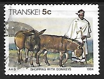 Transkei - ganado