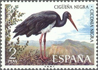 ESPAÑA 1973 2135 Sello Nuevo Fauna Hispánica Aves Cigüeña Negra