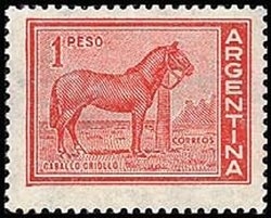 Horse (Equus ferus caballus)