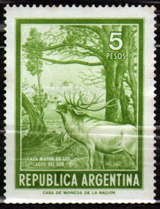 Red Deer (Cervus elaphus)