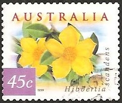 Guinea Flower - Hibbertia scandens