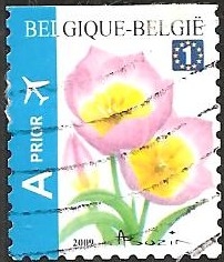 Tulip Bakeri Selfadh. Top imperforate