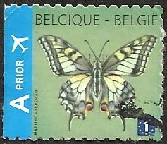 Swallowtail (Papilio machaon) - Left imperforate