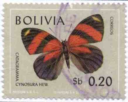 Fauna boliviana - mariposas en colores naturales