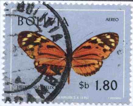 Fauna boliviana - mariposas en colores naturales