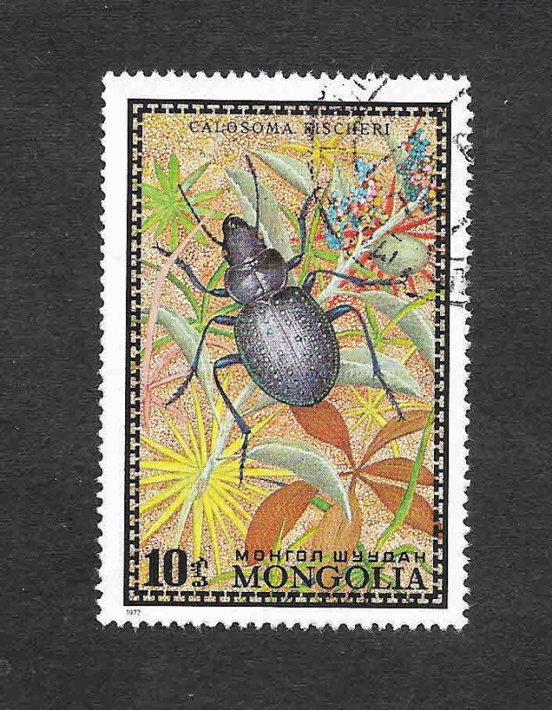 667 - Escarabajo
