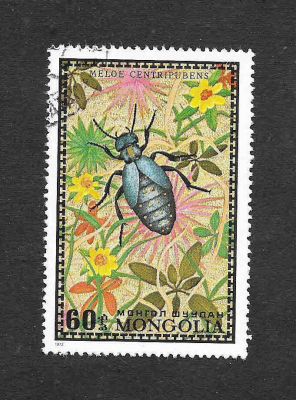 671 - Escarabajo