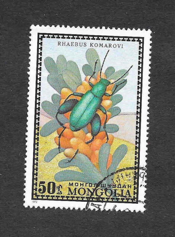 670 - Escarabajo