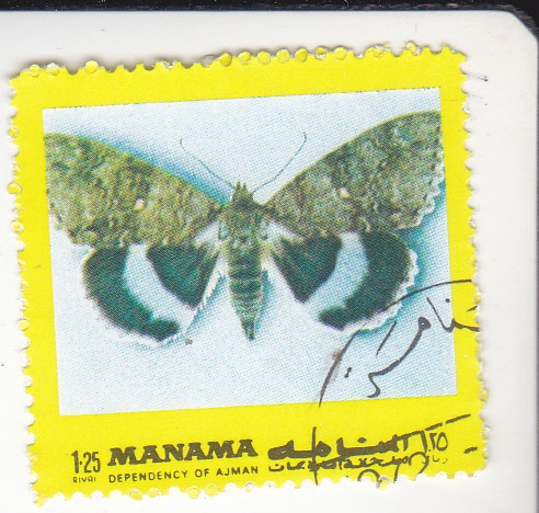 MARIPOSA