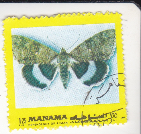 MARIPOSA