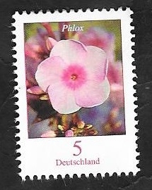 3084 - Flor Phlox