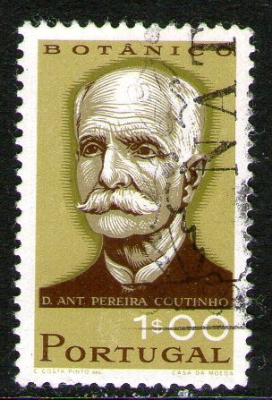 47 Antonio Pereira (botánico)