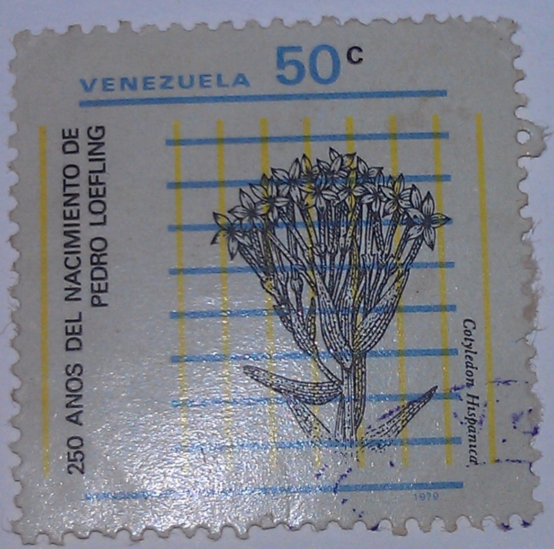 250 AÑOS DEL NACIMIENTO DE PEDRO LOEFLING
