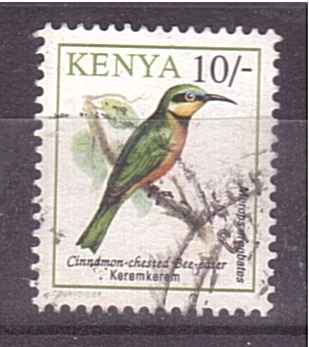serie- Aves- Avejarruco etíope