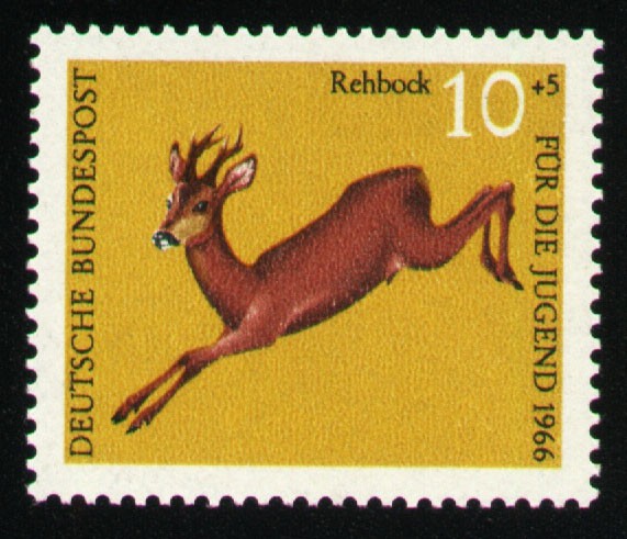 Rehbock