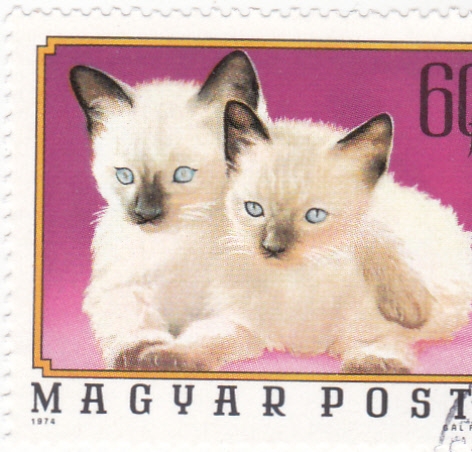 GATOS