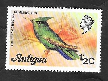 397 - Pájaro Colobrí