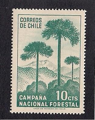 Campaña Nacional Forestal