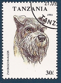 Perros de Raza - Zwergschnauzer
