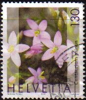 SUIZA Switzerland Suisse 2003 Scott1146 Sello Serie Flores Centaurium Minus Michel1824 usado