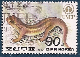 Salamandra de Gensan - UNEP - Programa Medio Ambiente de la ONU