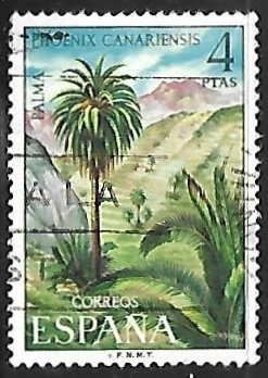 Flora -Palma