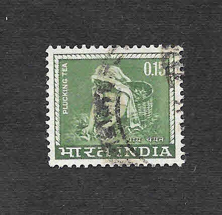 412 - Recolección de Té