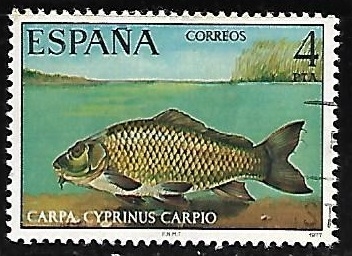 Fauna Hispánica - Carpa