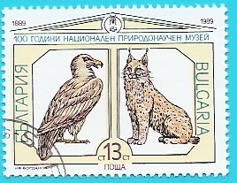 Quebrantahuesos y Lince eurasiático