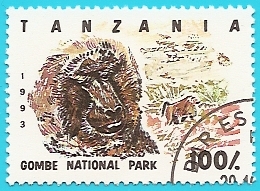 Parque Nacional de Gombe