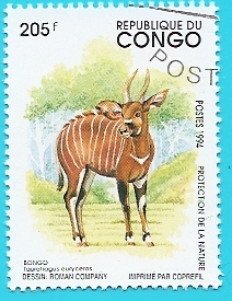 Antílope - Bongo