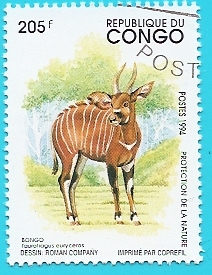 Antílope - Bongo