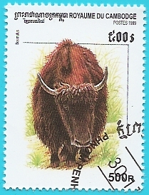 Yak