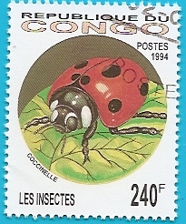 Insectos - Mariquita