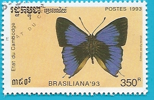 Mariposa Sithon nedymond - Brasiliana 93