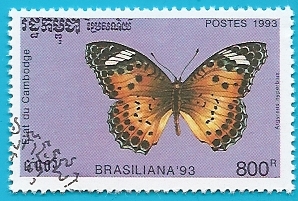 Mariposa Argyreus hyperbius - Brasiliana 93
