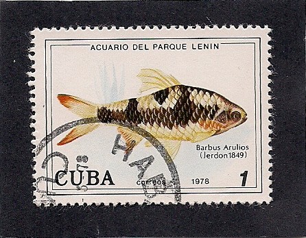 Acuario del parque Lenin