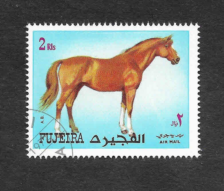 Mi1541A - Caballo