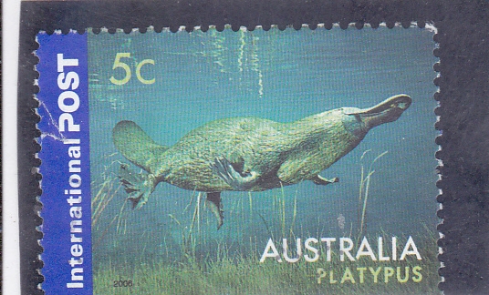 PLATYPUS