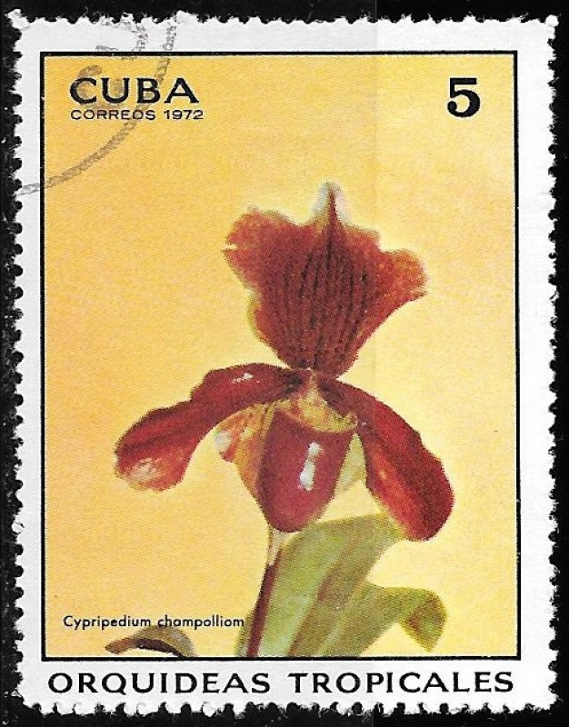 Cuba-cambio
