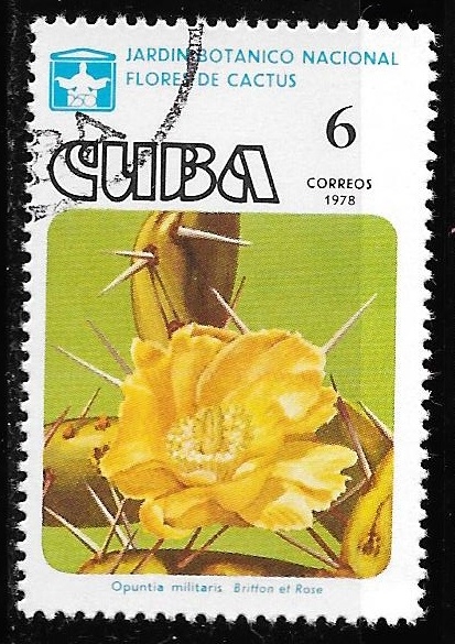 Cuba-cambio