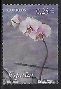 La flor y el paisaje - Naranjo 