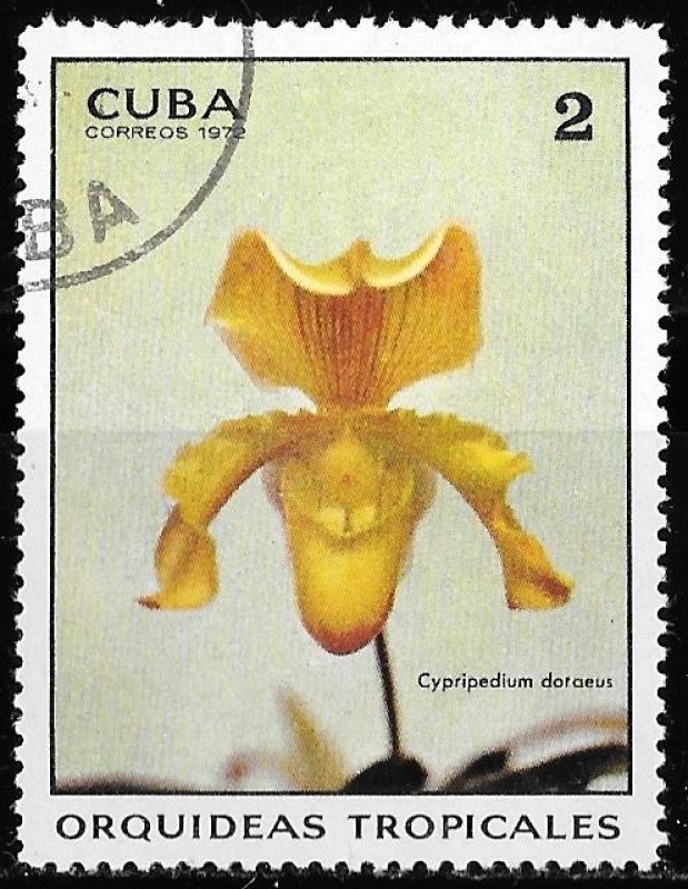 Cuba-cambio