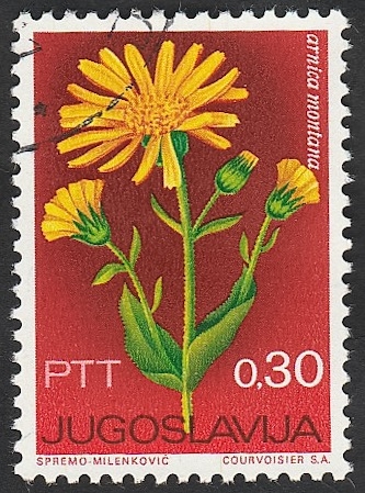 1094 - Planta medicinal