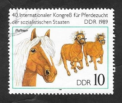 2868 - Caballo de raza