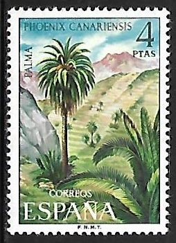 Flora - Palma